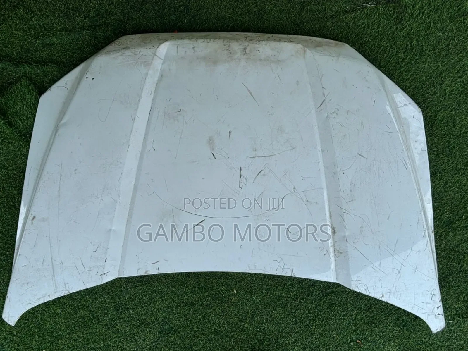 Ford F150 2015 /2021 Hood/ Bonet