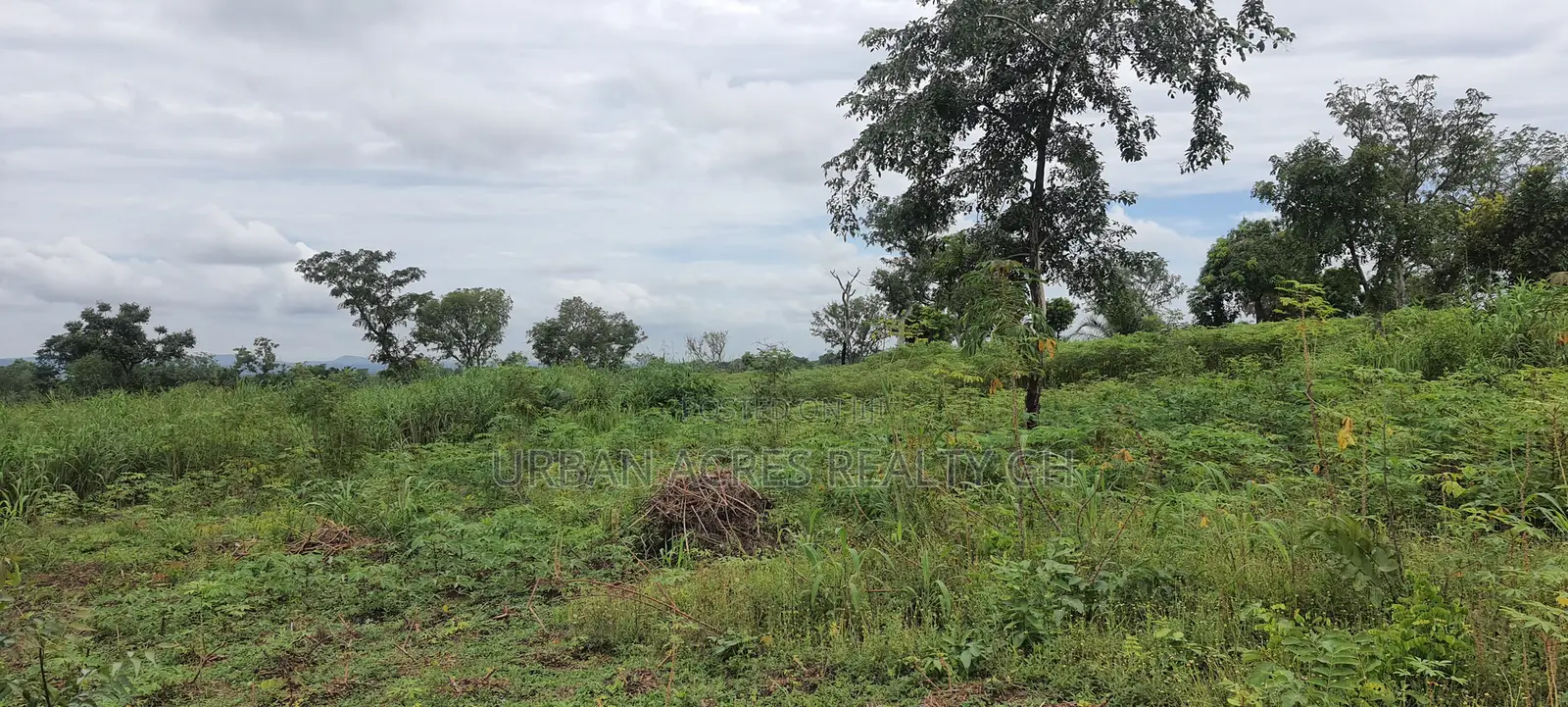 Western Region, Beposo (Atwerboanda) _ 20+ Acres Farmland