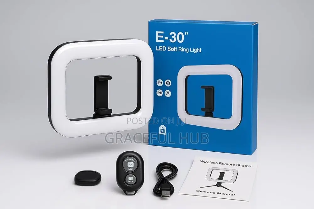 E-30 Phone Light