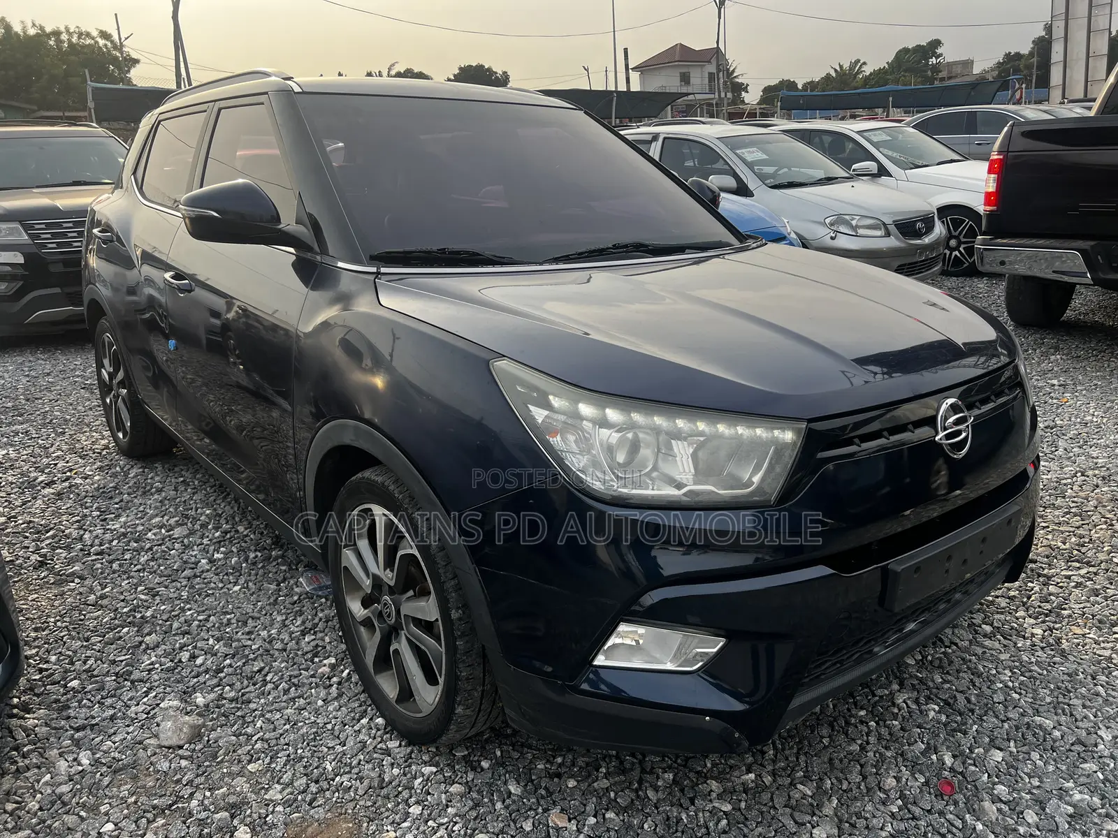 SsangYong Musso 2015 Blue