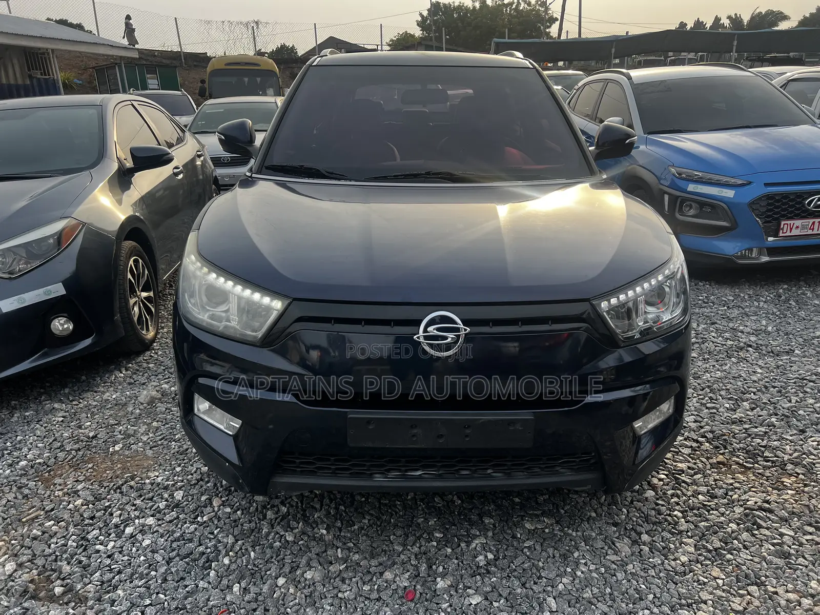SsangYong Musso 2015 Blue