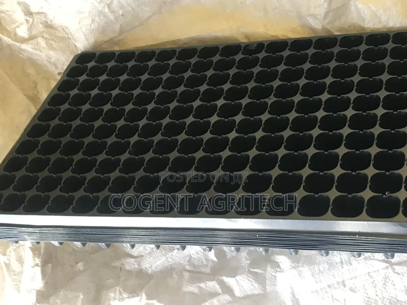 Seedlings/Nursery Trays (200 Cells)