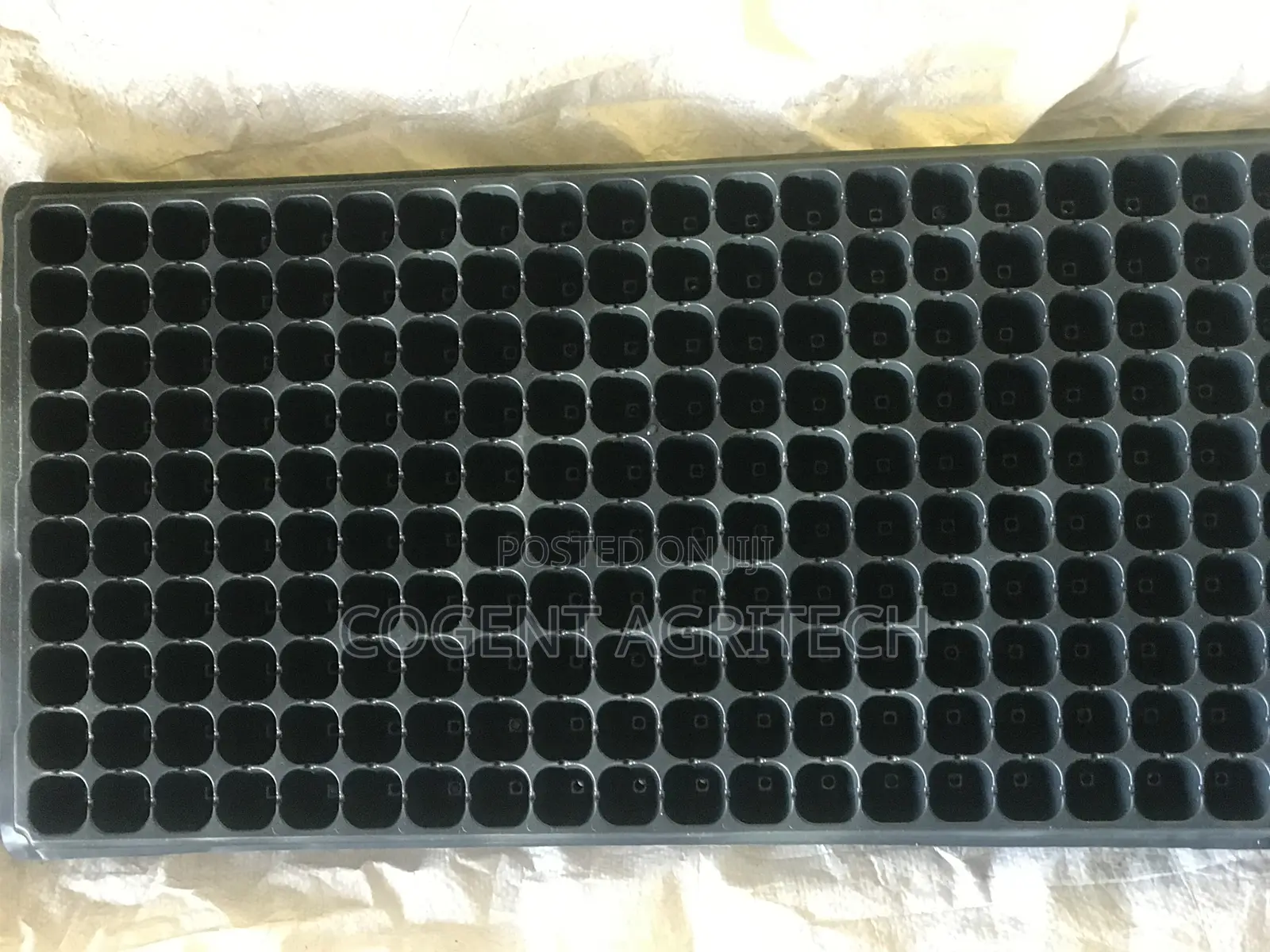 Seedlings/Nursery Trays (200 Cells)