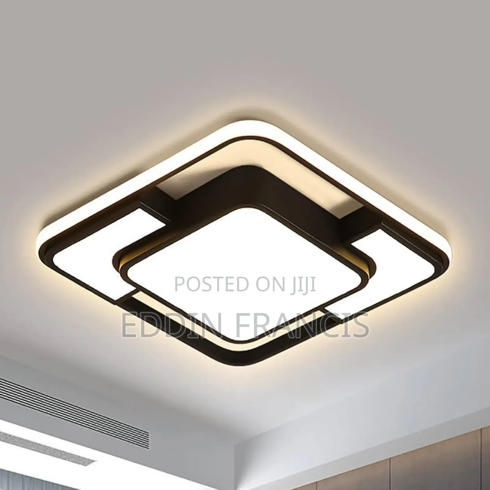 Decorative Ceiling Lights