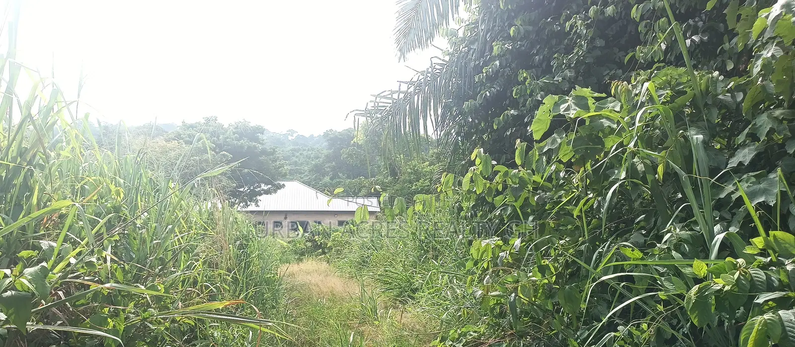 C/R, Swedru (Asafo) _ 1 Plot (80'x100') Land