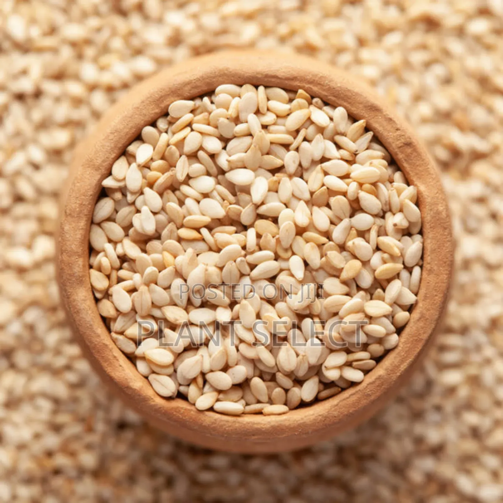Black and Creamy Sesame Seeds (350 Grams)