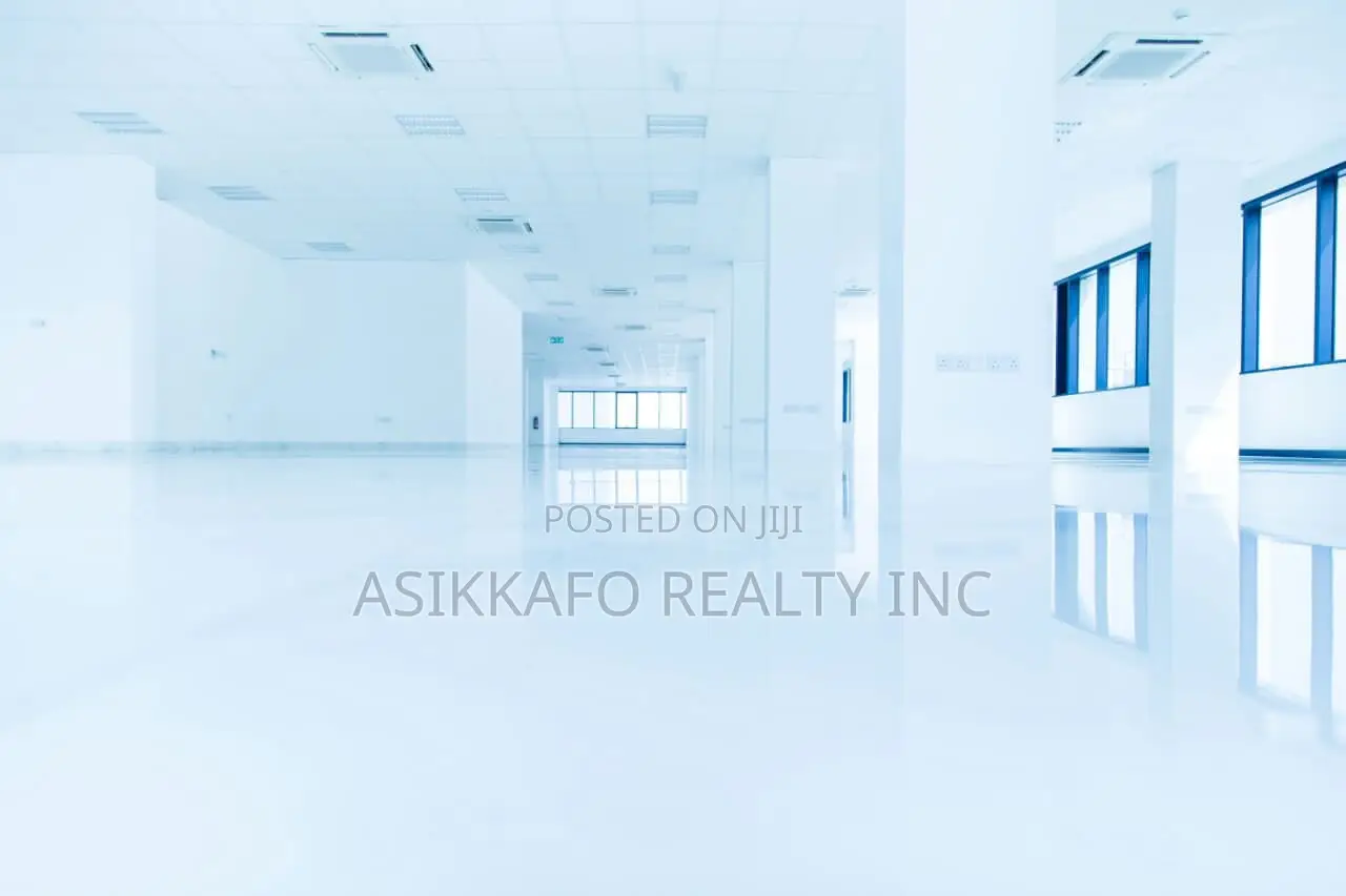Luxury Office Spaces Renting in Airport City, Premier Business Center