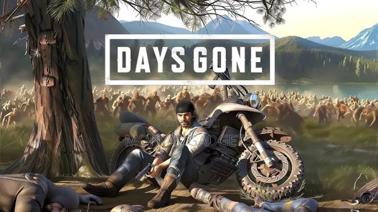Days Gone Installation Services [Windows]