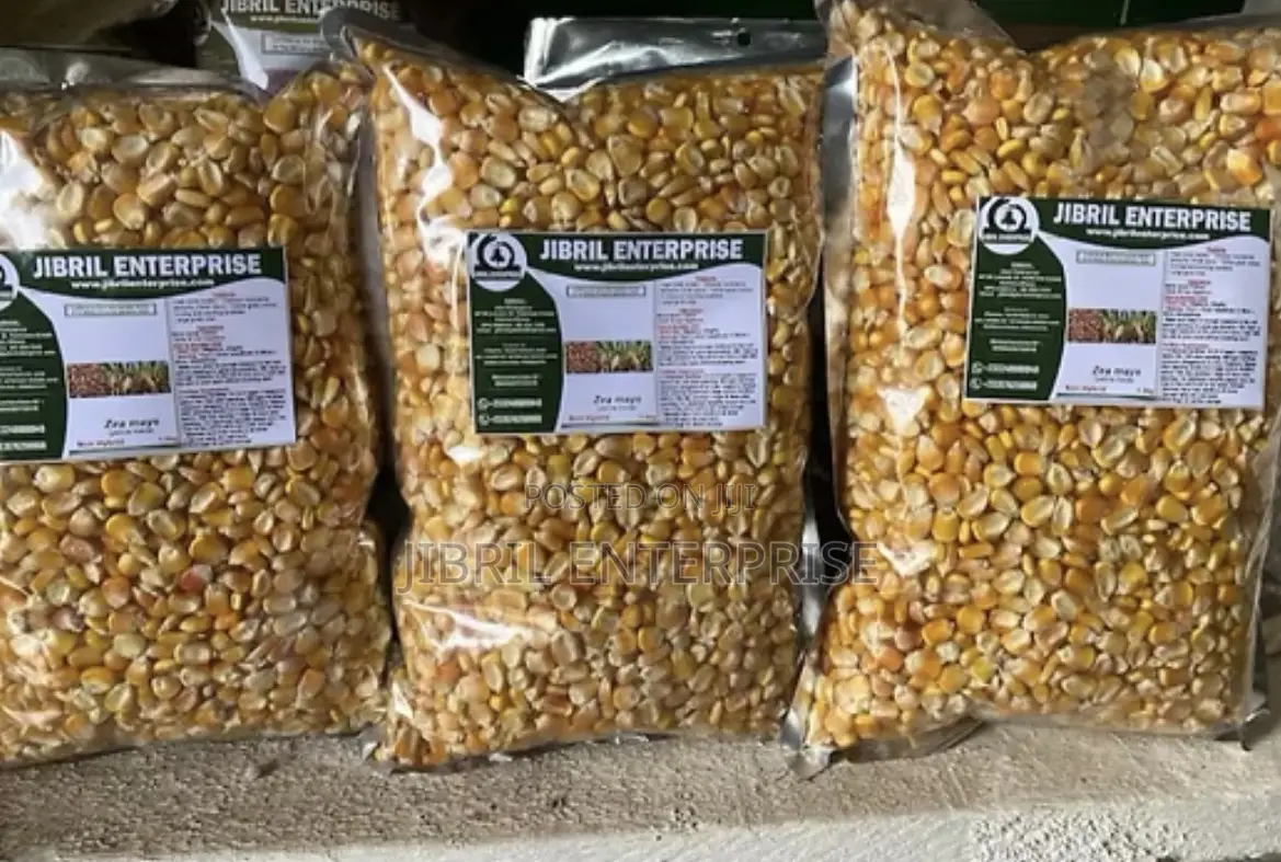 Deux Mois, 75 Days Togolese Yellow Maize Seeds, 1kg /25gh, Non Hybrid