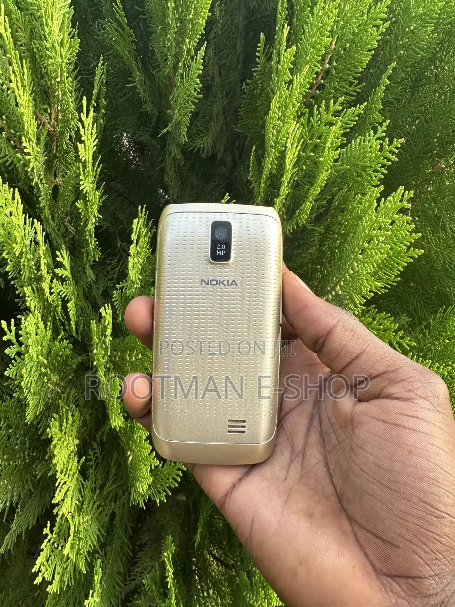 Nokia Asha 310 Gold