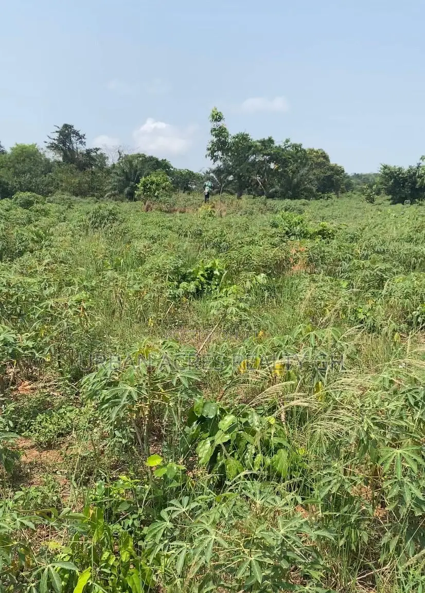 E.R, Akuapim District (Adukrom) _ 36 Plots (6+ Acres) Mountain Land