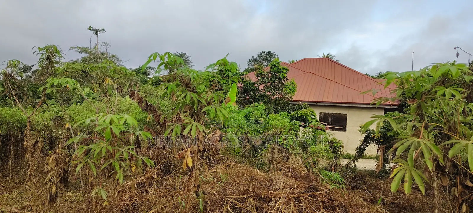 Central Region, Swedru (Kwesi Moko) _ 3 Plots Building Land
