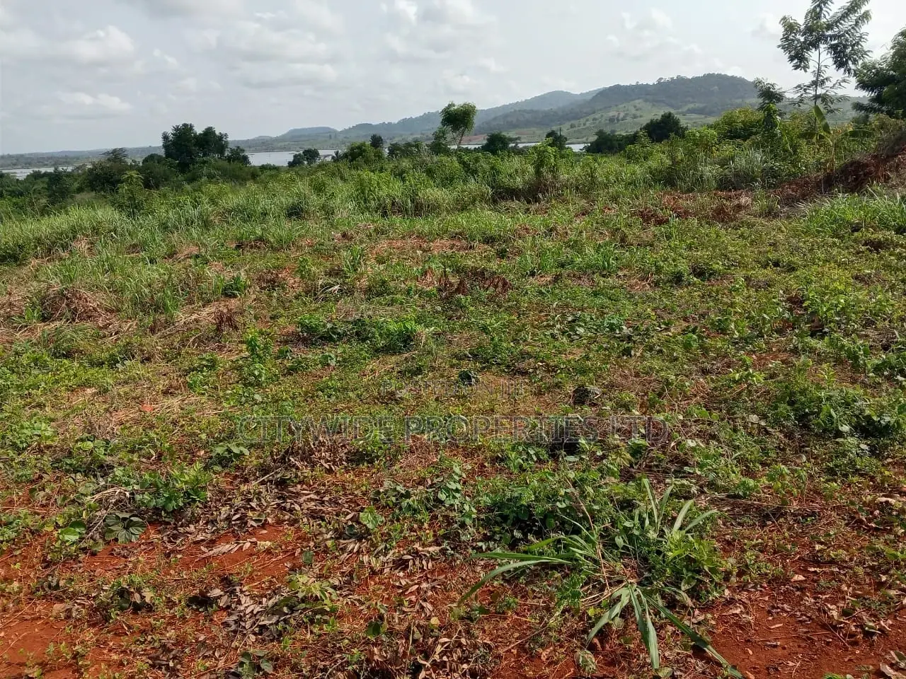 Farmlands at Winneba Simibrofo for Sale