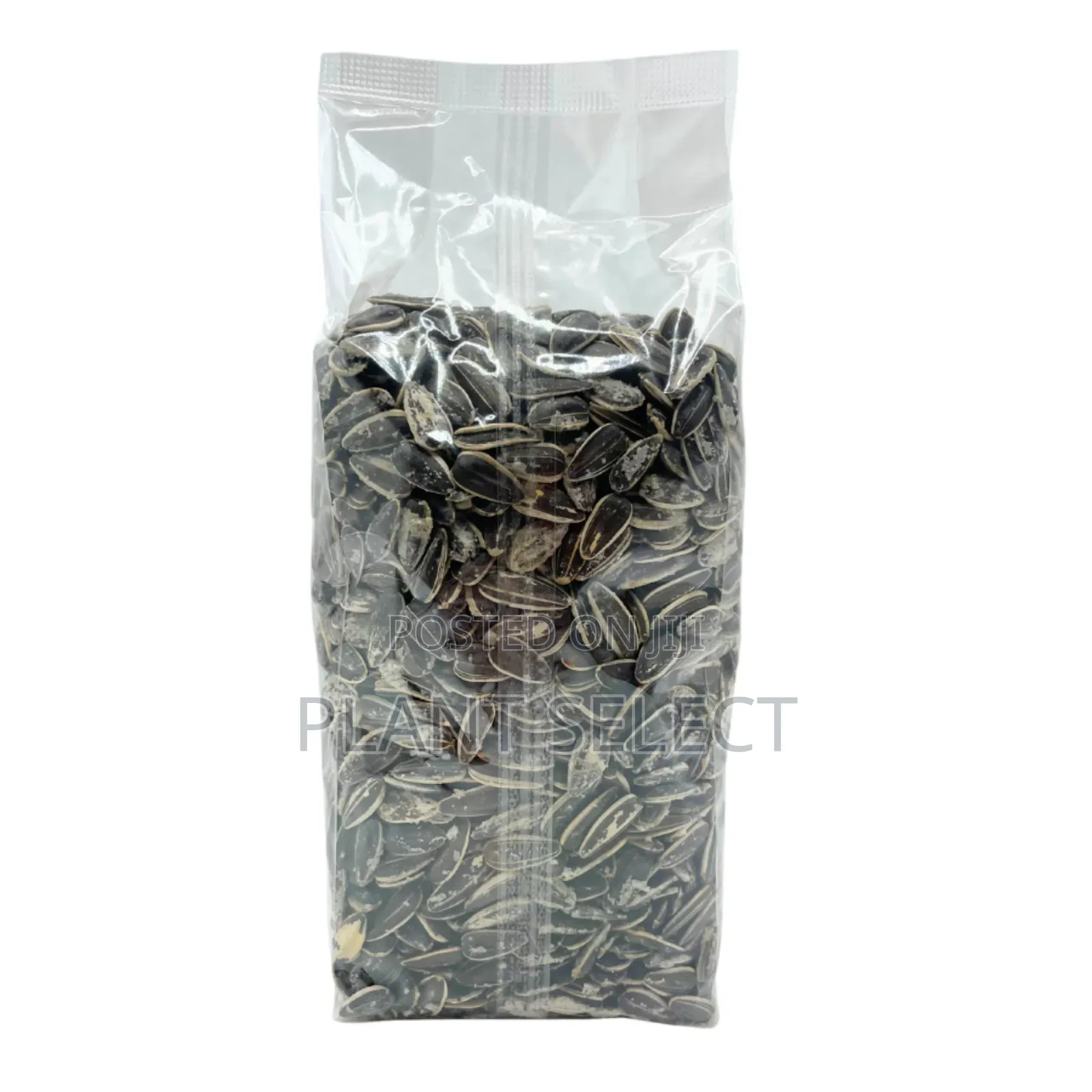 Organic Sunflower Seeds (350 Grams)
