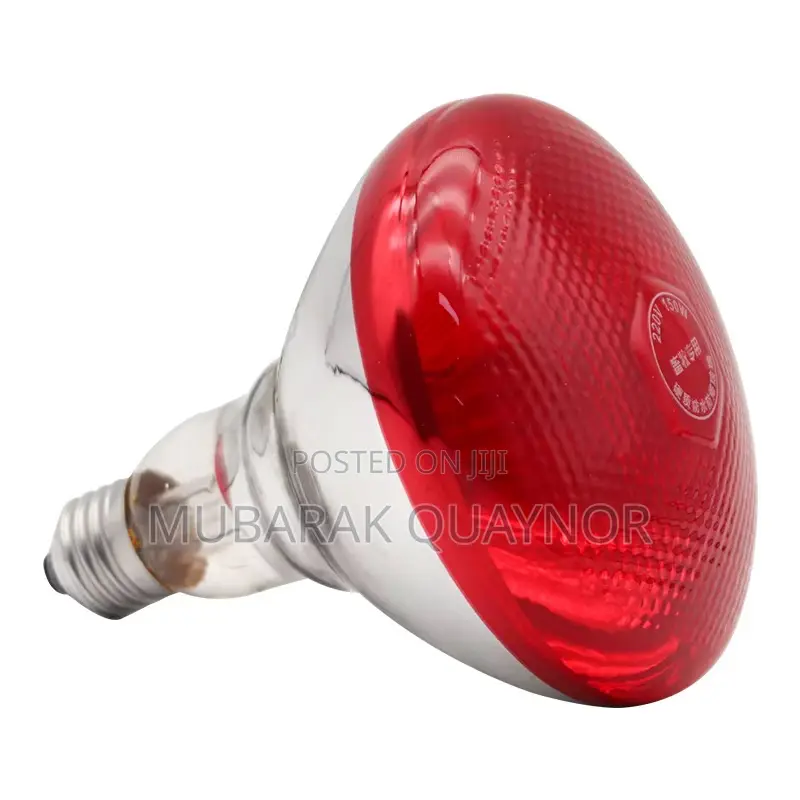 Heat Lamps ( Bulbs )
