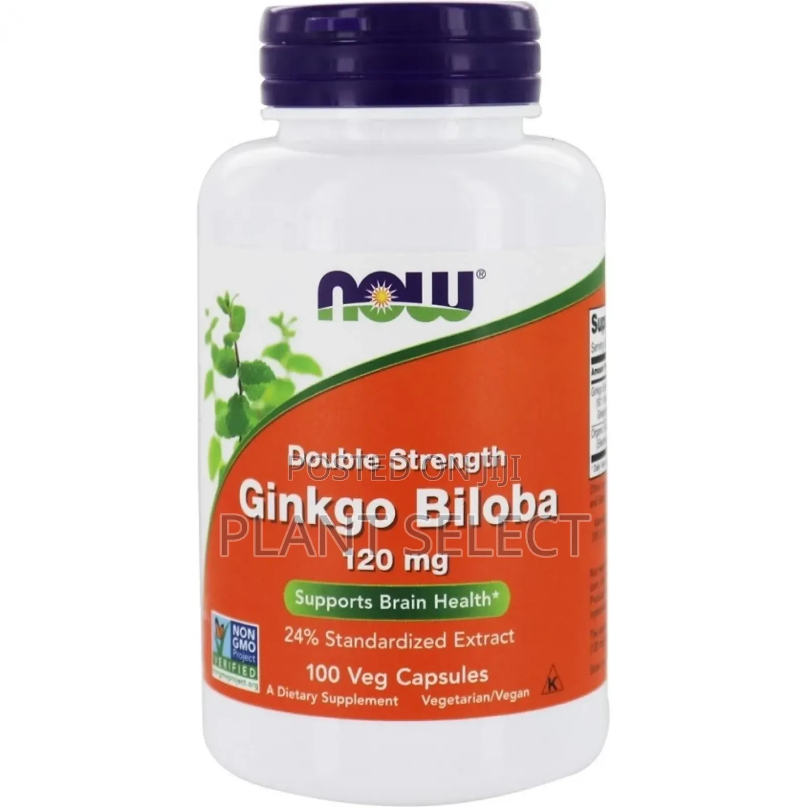 Gingko Biloba Capsules