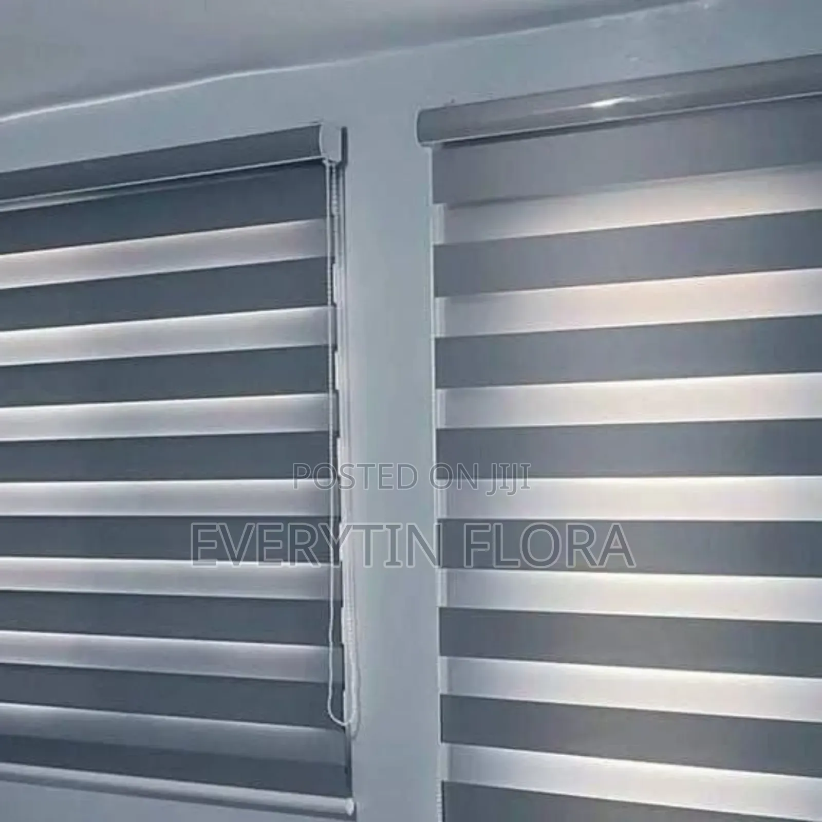 Window Blind