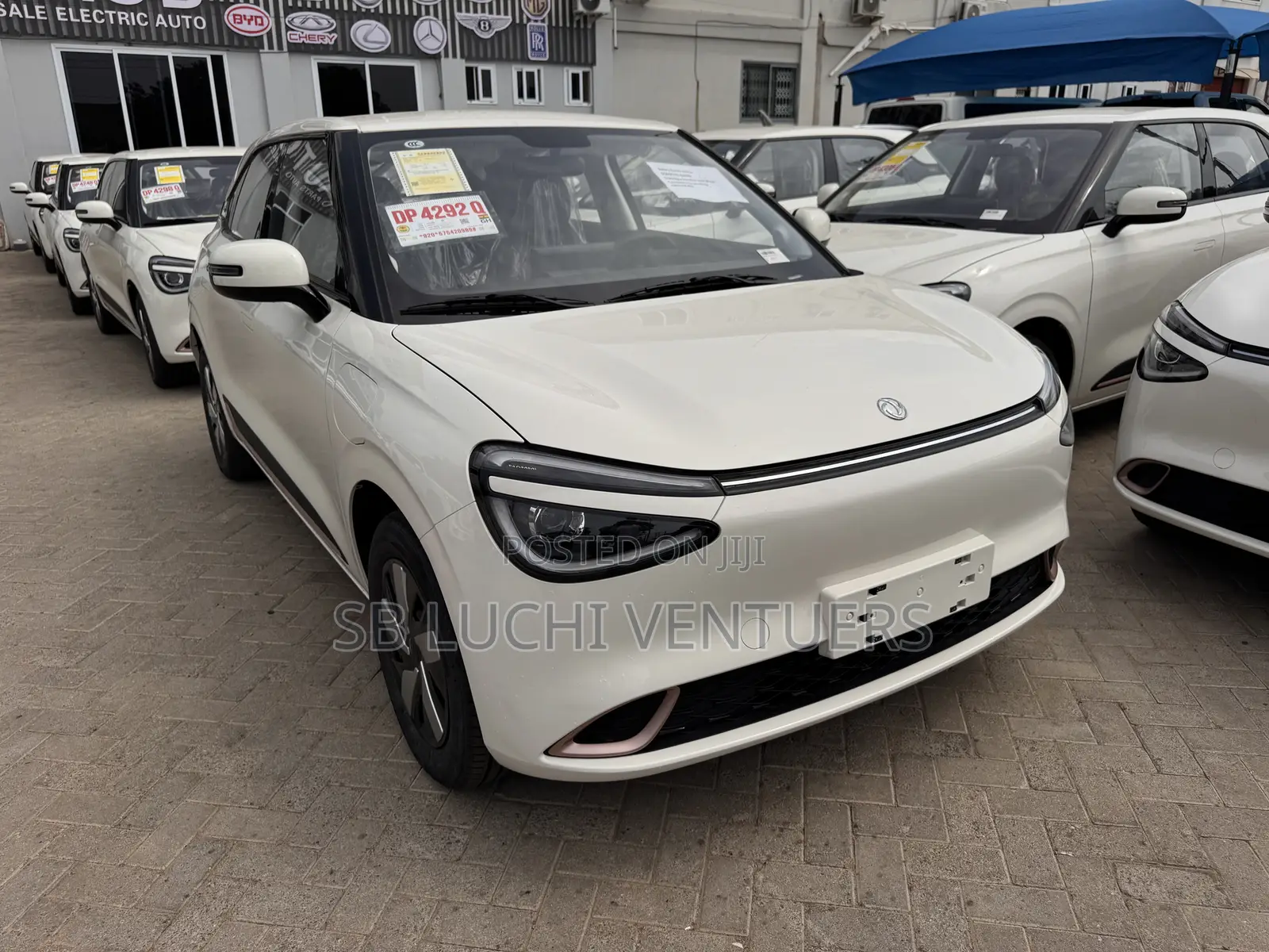 New Dongfeng Nammi 01 2025 White