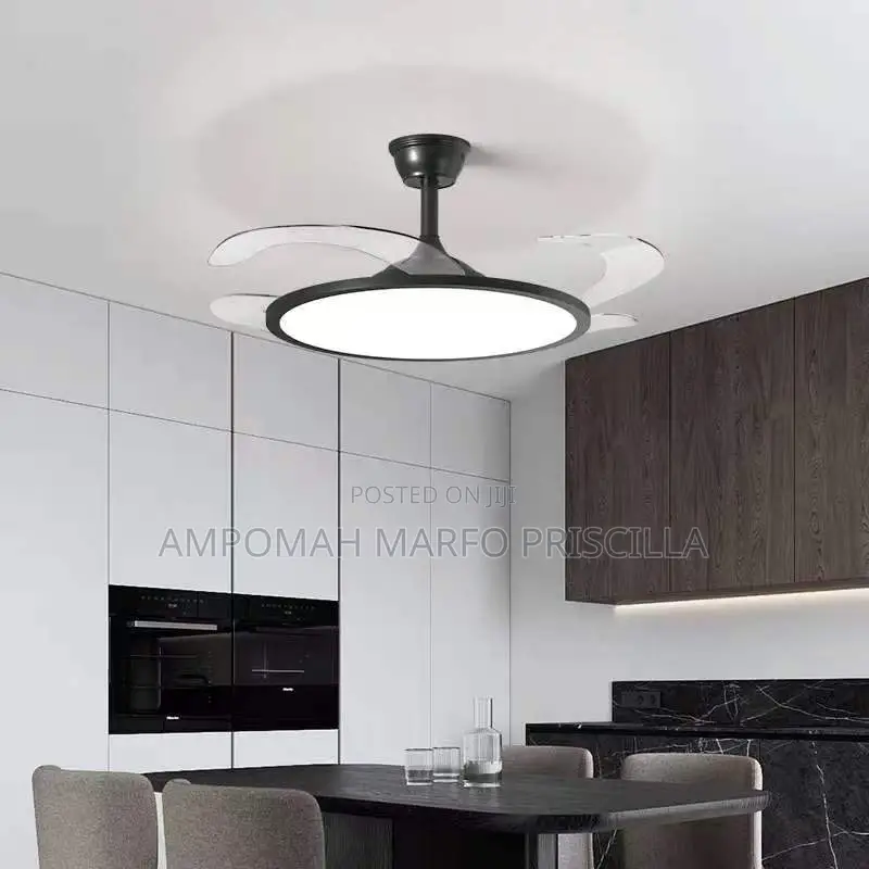 Ceiling Light With Fan and Remote Control