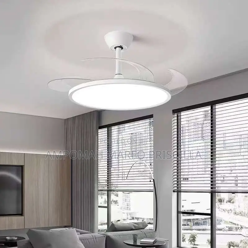 Ceiling Light With Fan and Remote Control