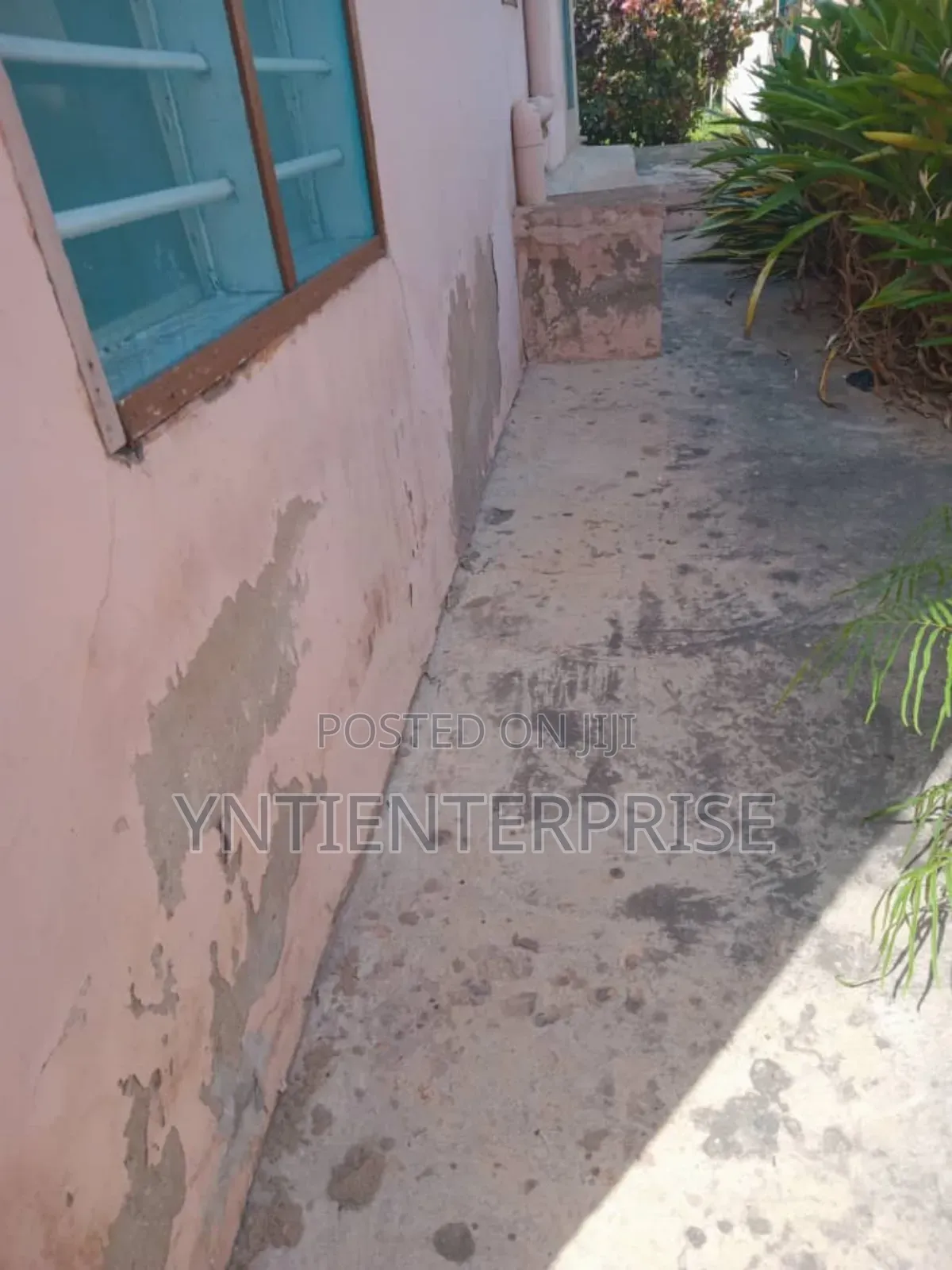 Expert In Salty/Damp Wall Treatment