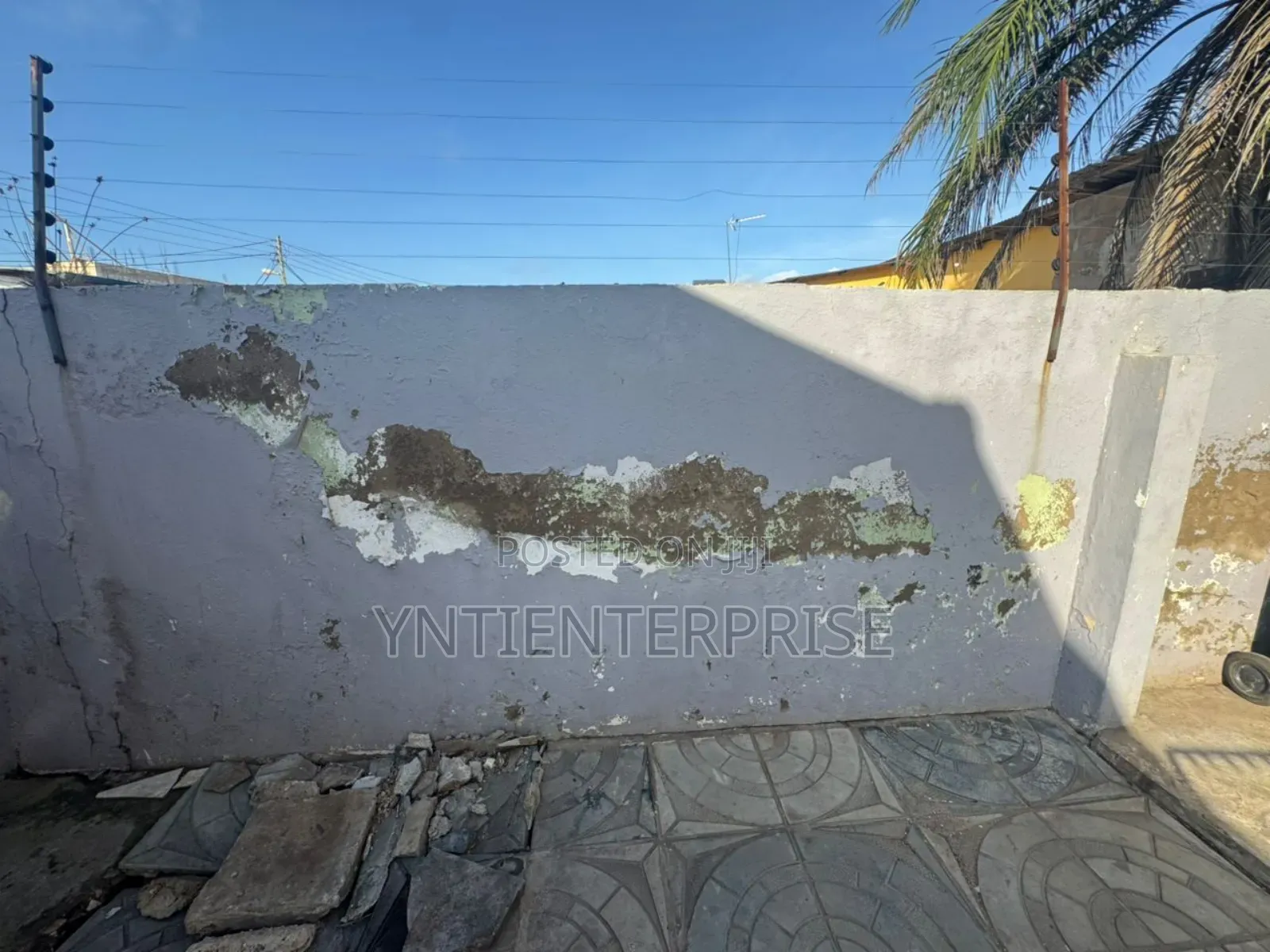 Expert In Salty/Damp Wall Treatment