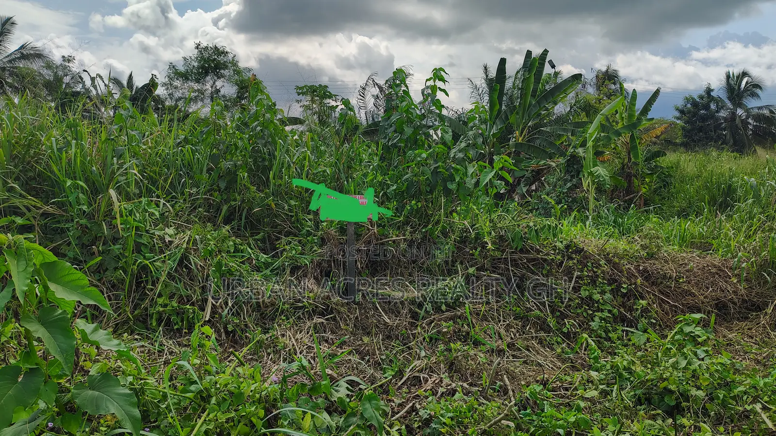 C.R, Swedru - Winneba Road (Swedru) _ 4 Plots Commercial Land