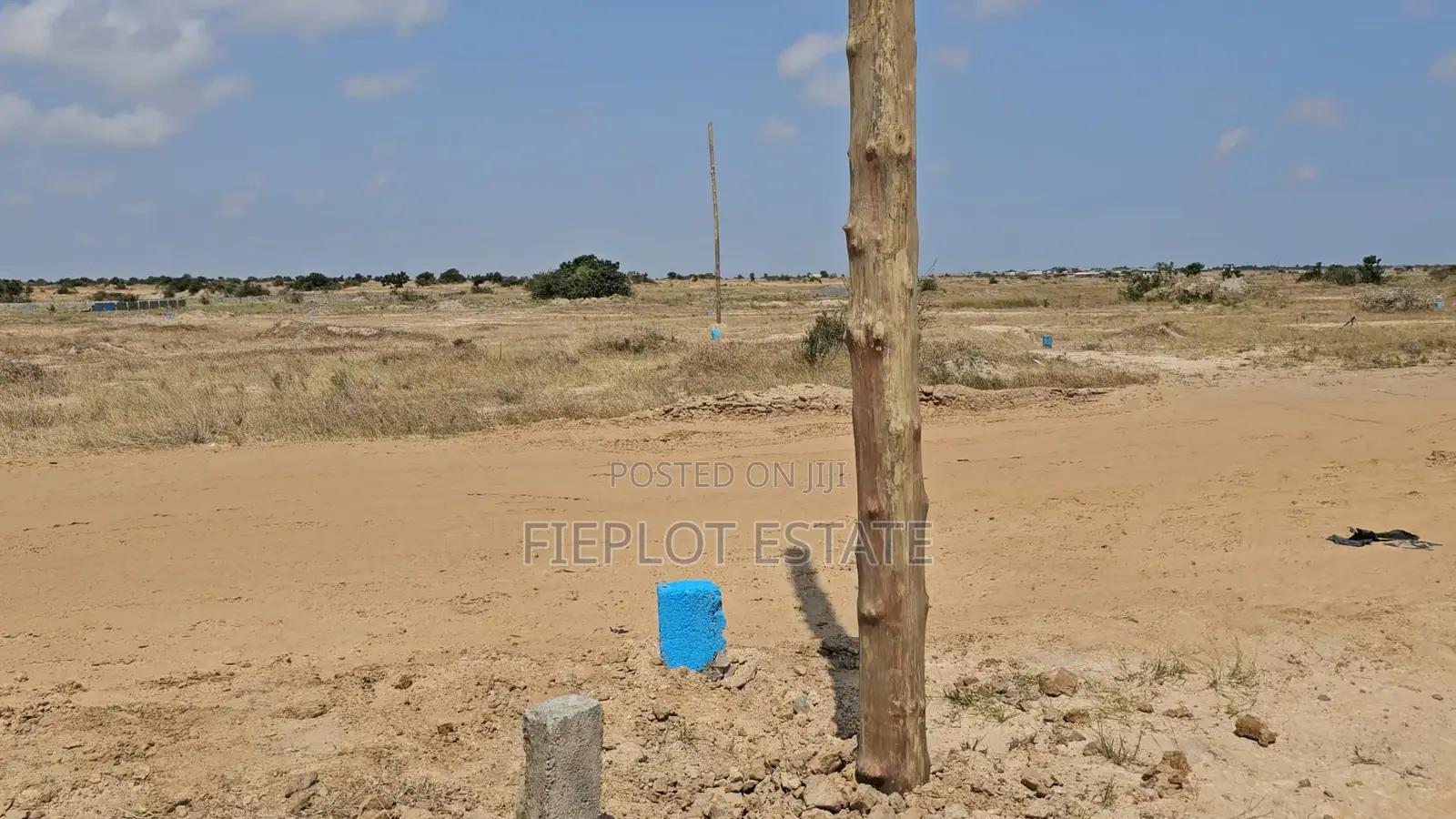 Half Plot, Own Your Plot Today – Skyport City, Tsopoli