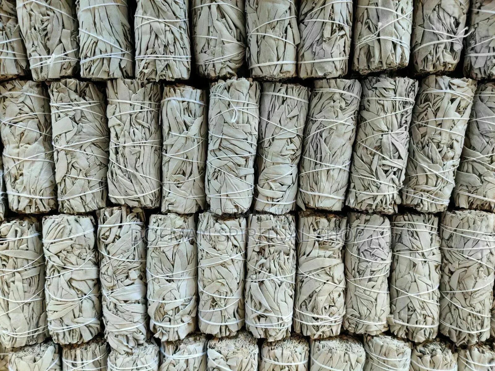 White Sage