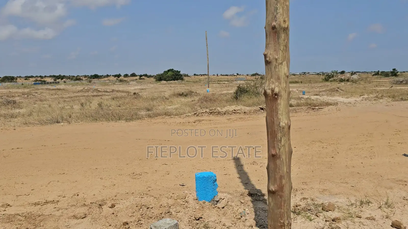 Limited-Time Plots at Tsopoli Skyport City — Don’T Miss Out