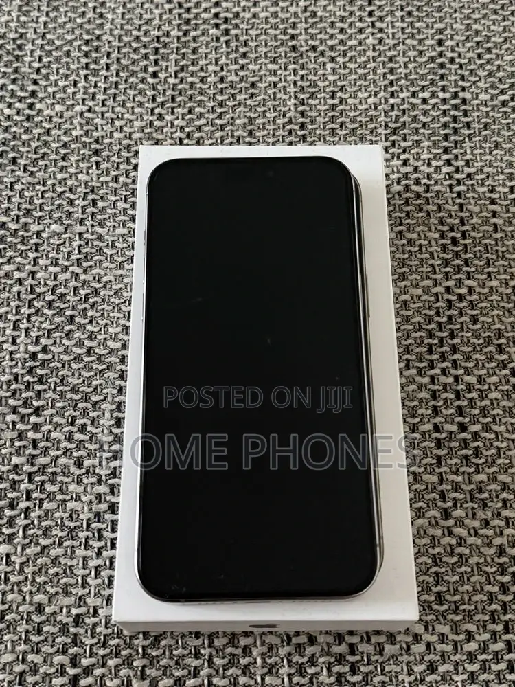 Apple iPhone 15 Pro Max 256 GB Silver