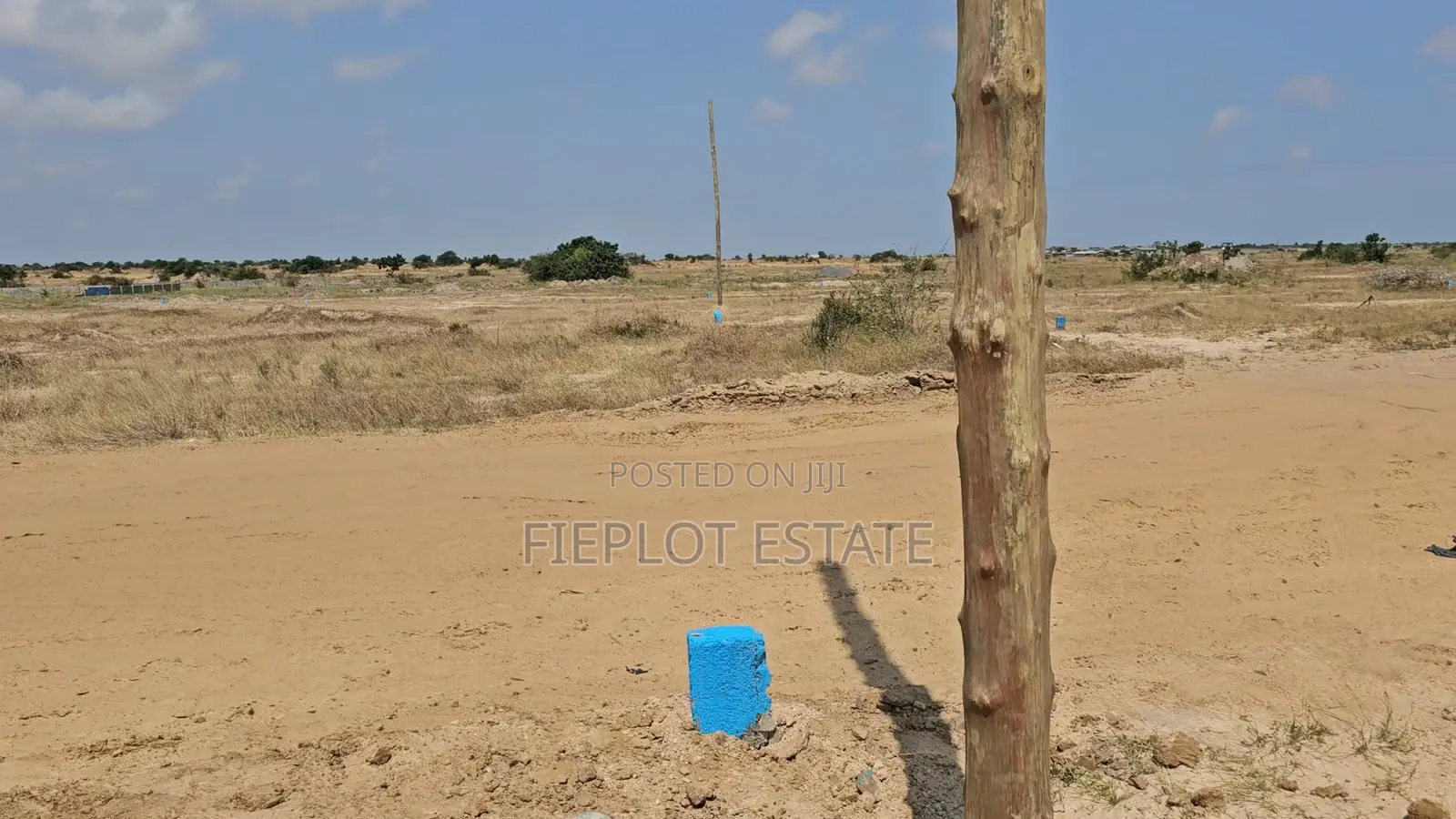 Affordable Full Plot at Tsopoli Skyport City Phase 4