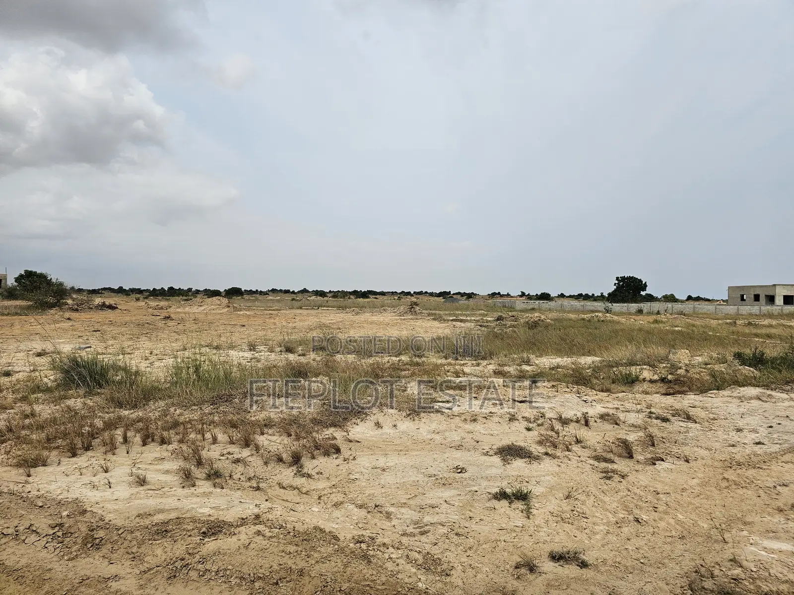 Invest in Litigation-Free Half Plot Land at Tsopoli Skyport City