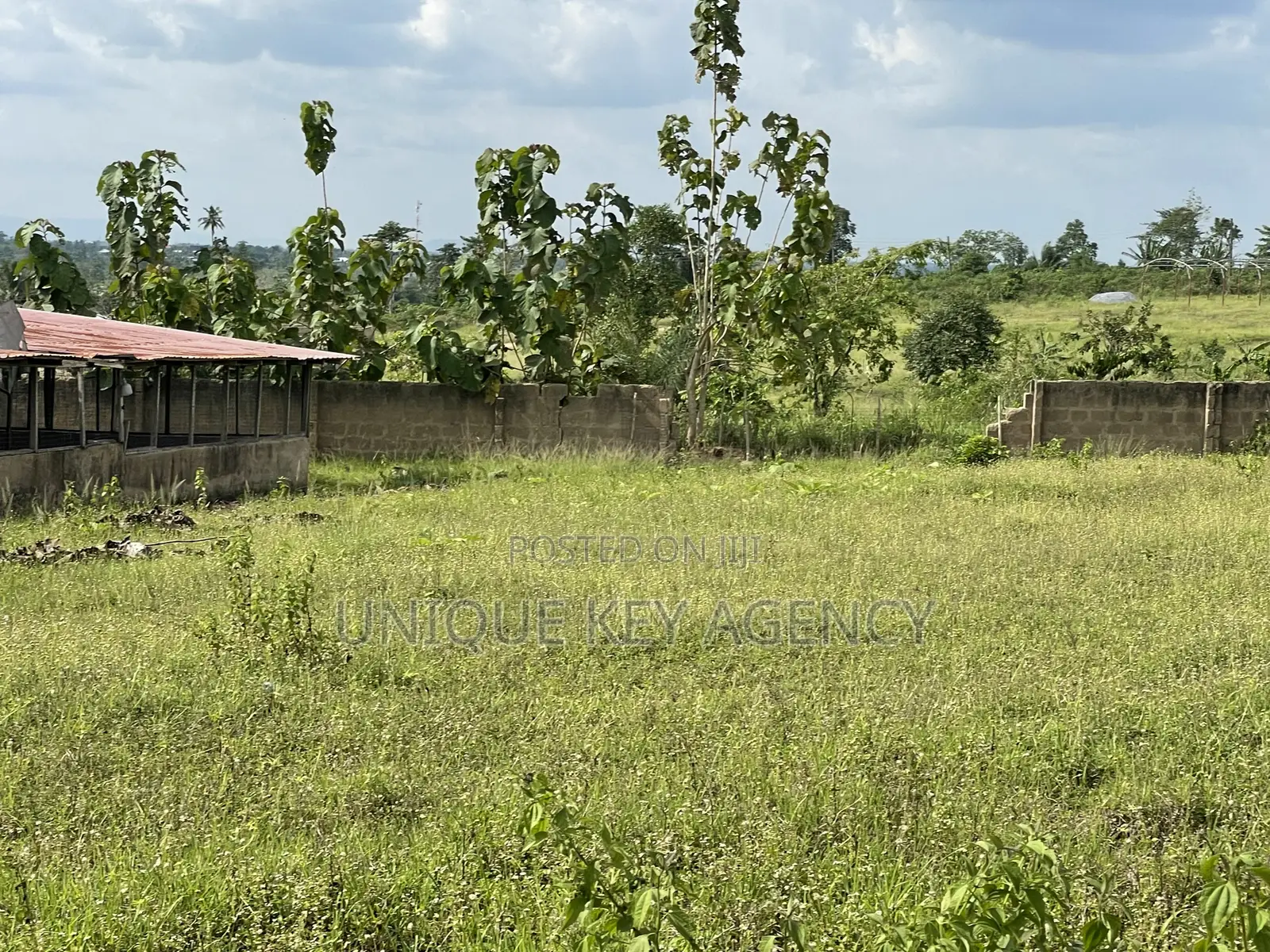 Poultry Land for Sale in Nsawam