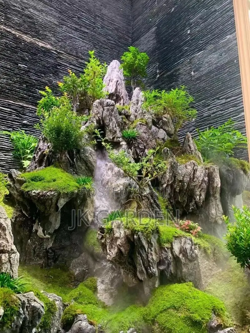 Azure Dragon Stone
(Aquarium Stone)