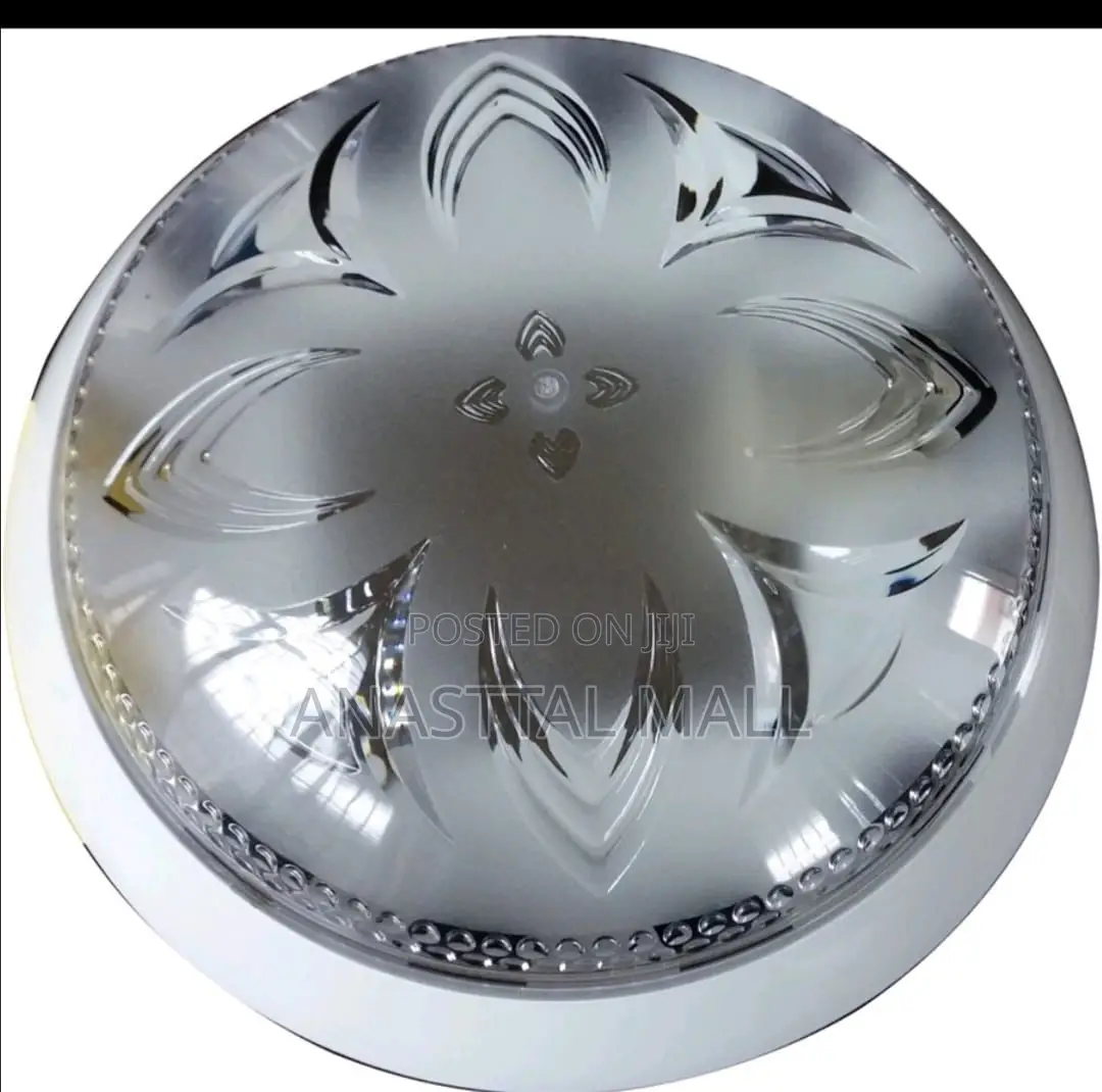 Very Simple Luxury Ceiling Bulb Light