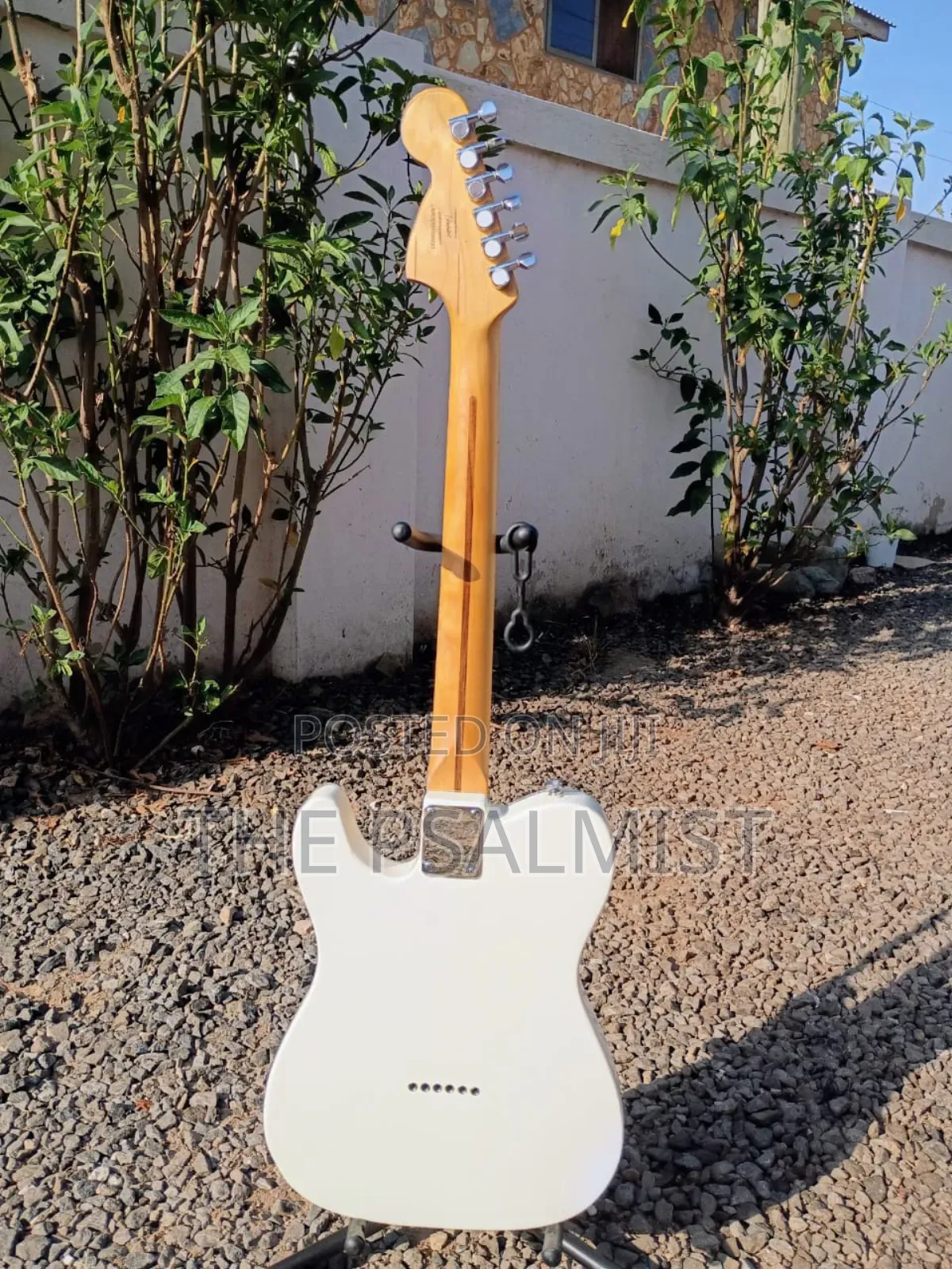 Squier Fender Deryck With Duncan Humbucker Pickups