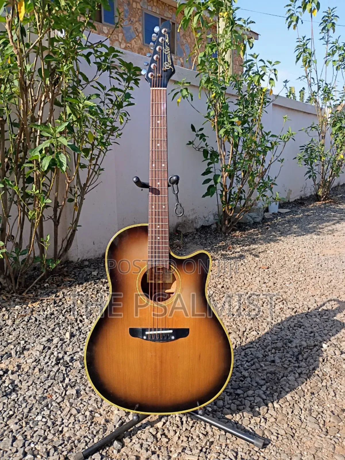 Rumbler by Morris Mr- Semi Acoustic Guitar