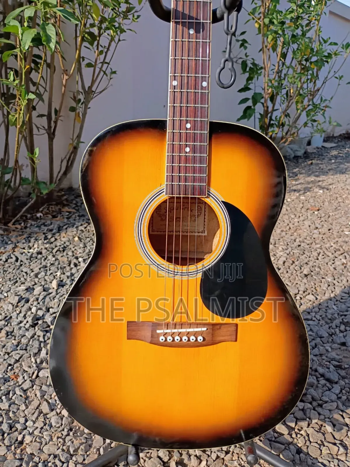 Sepia Crue F-130/Ts Acoustic Guitar