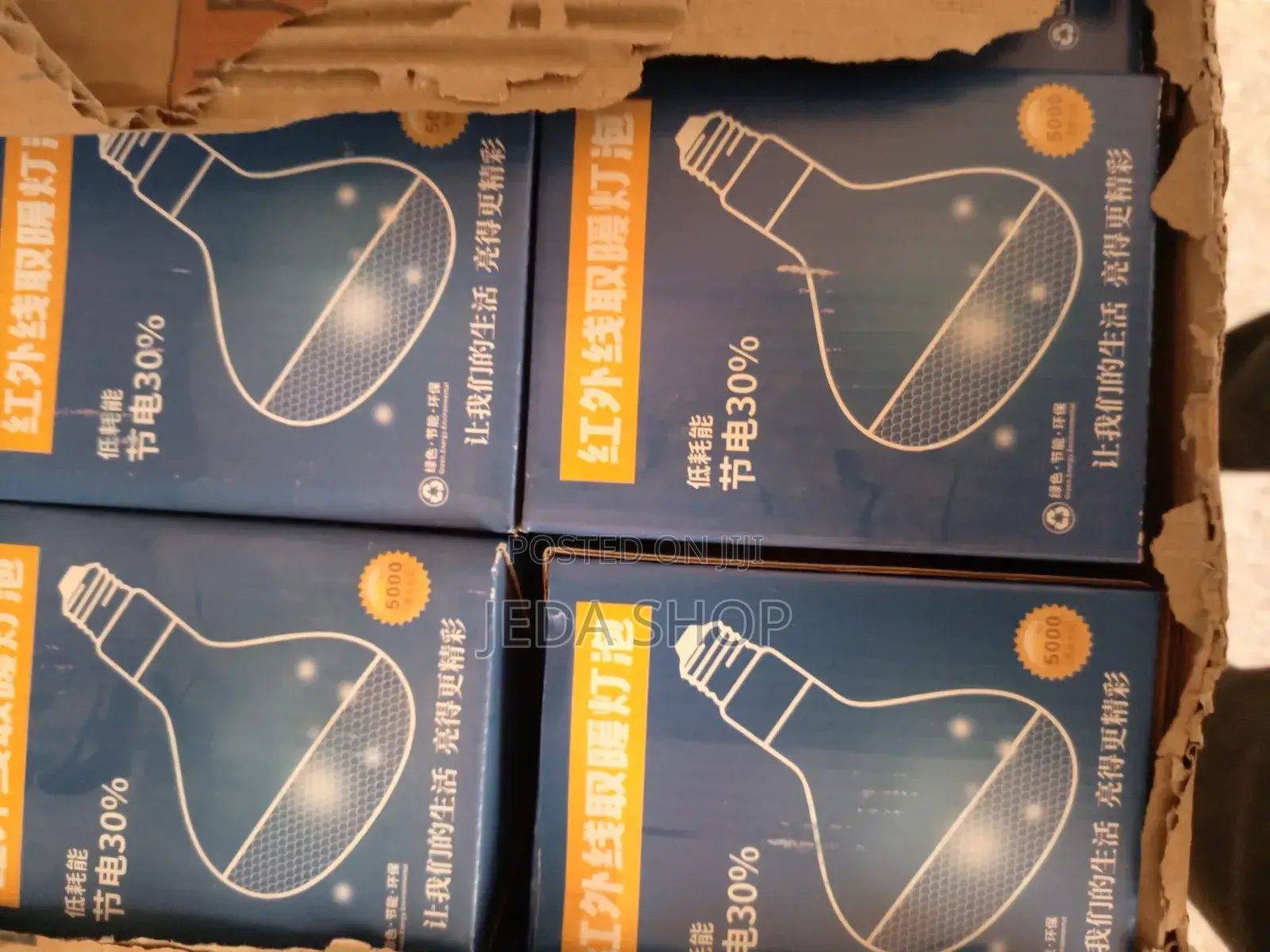 Brooder Lamps