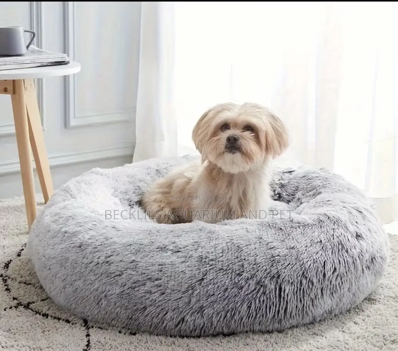 Round Colorful Dog and Cat Bed (Medium Size)