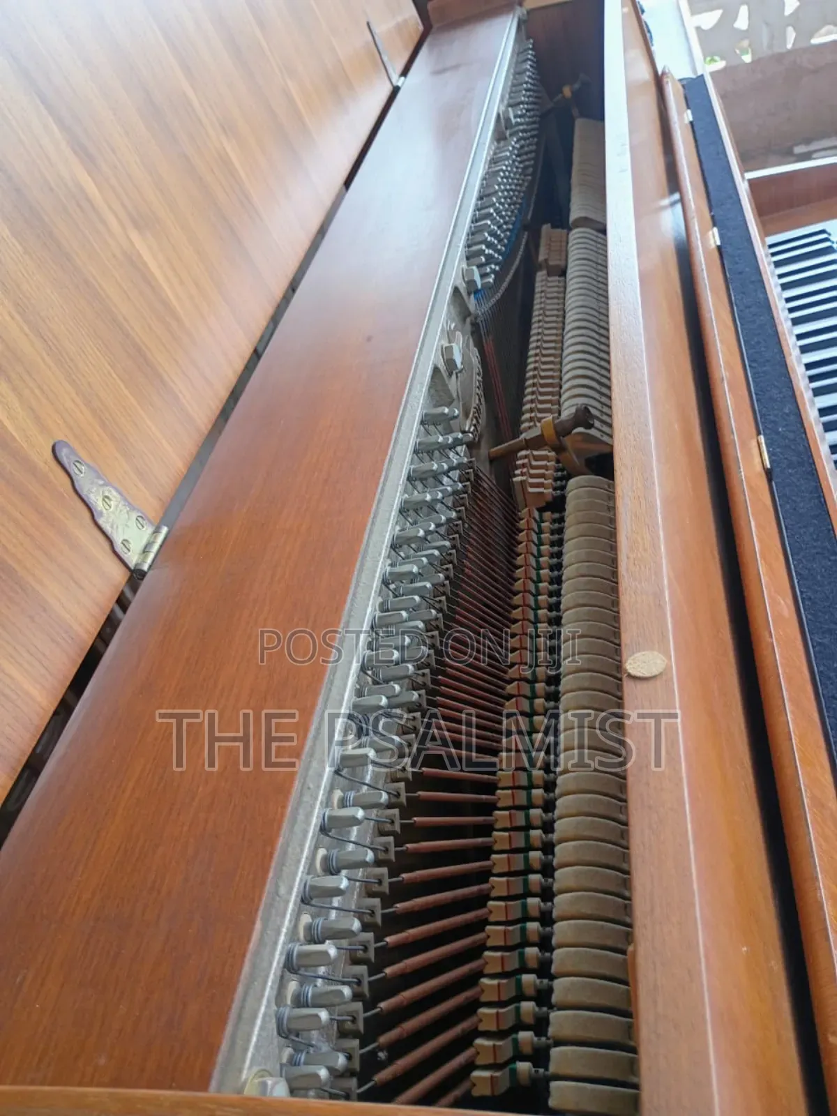Bluthner Acoustic Piano(Brand New)