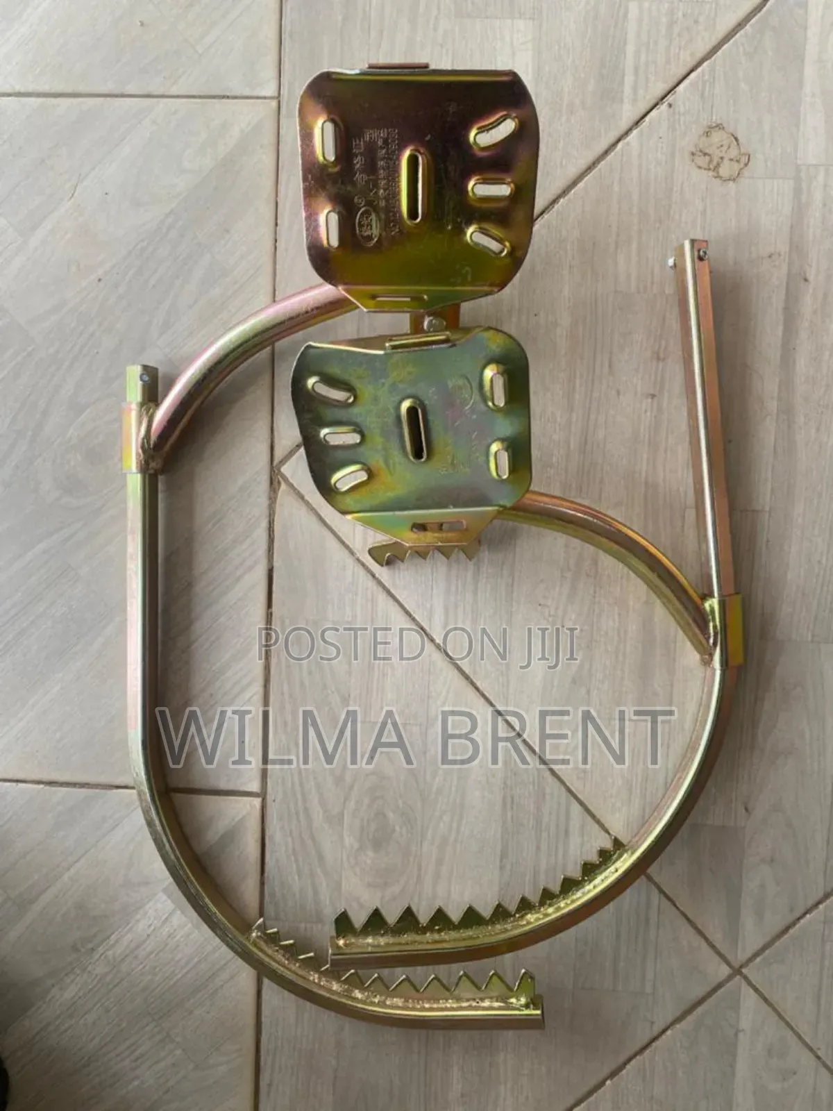 Climbing Shoes and Safety Rope