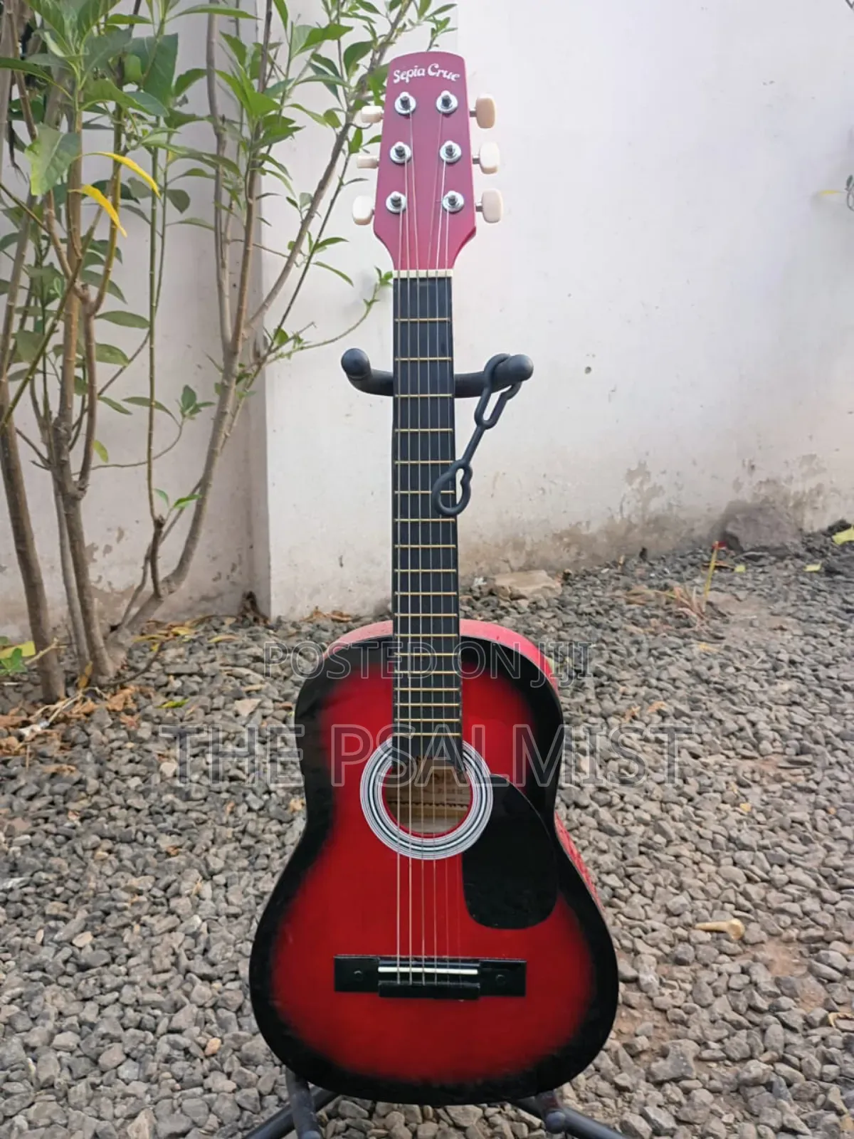 Sepia Crue W-50rds 1/2size Acoustic Guitar With Strap Strings Tuner