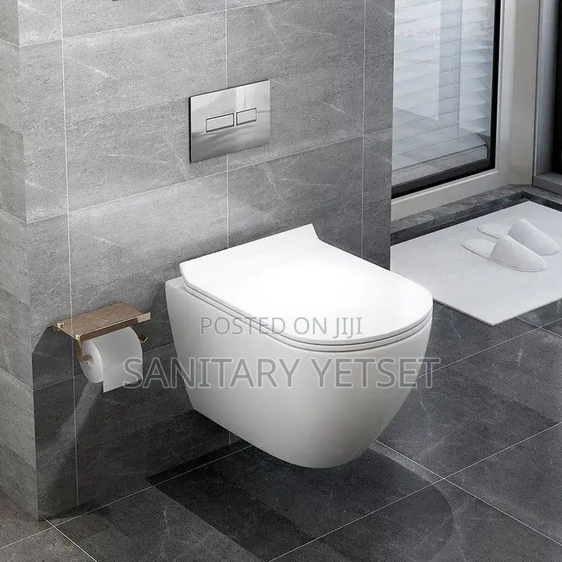 Wall Hung Toilet Concealed Wc