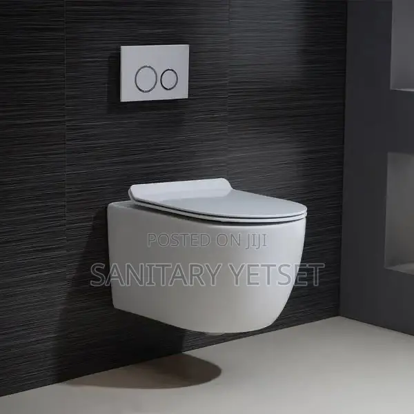 Back to Wall Wc