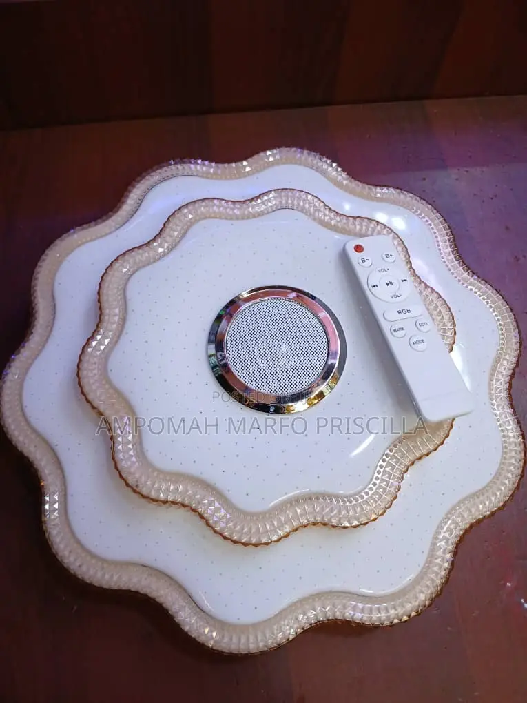 Ceiling Light With Bluetooth Speaker and Remote Control
