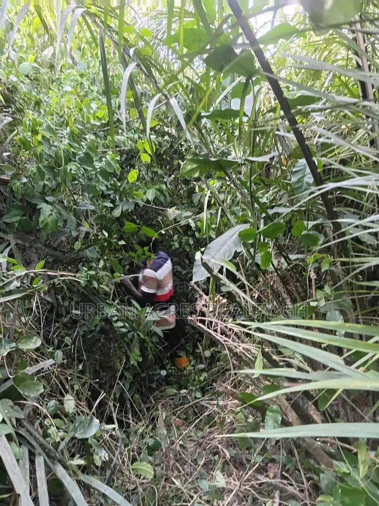 Western Region, Beposo (Dunkwa) _ 10+ Acres Farmland