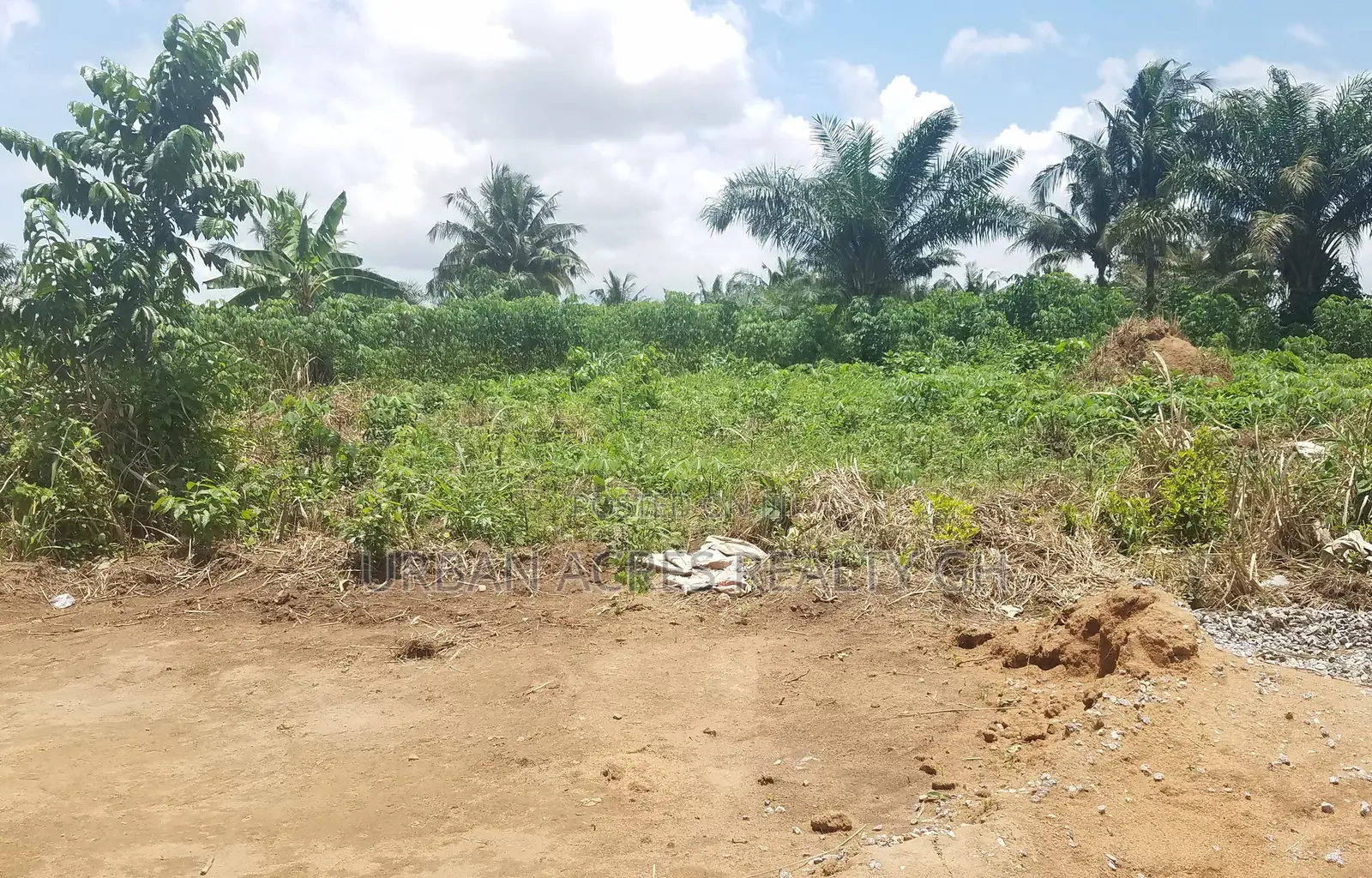 Volta Region, Kpando (Abanu) _ 1 Plot (90'x100') Land