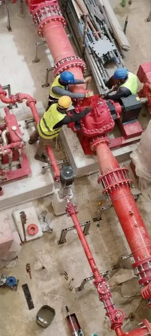 Professional Plumber